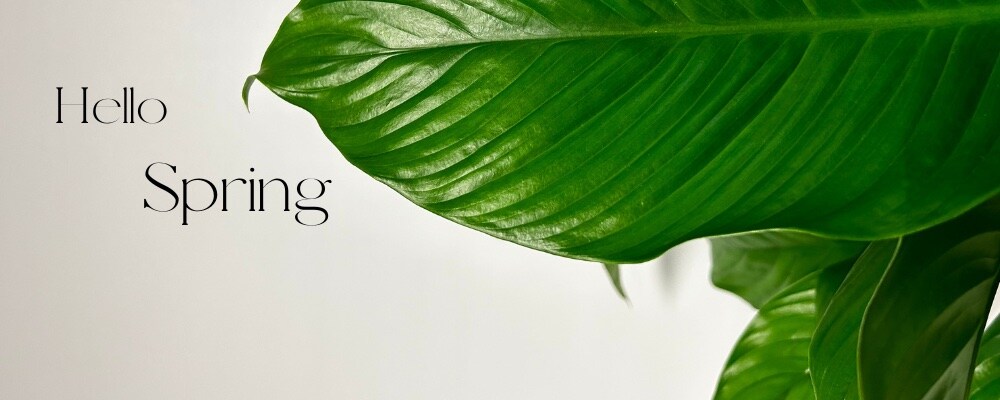 Spring Flowers, Shop Now!